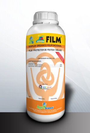 AS Film