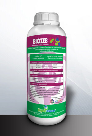 Biozeb