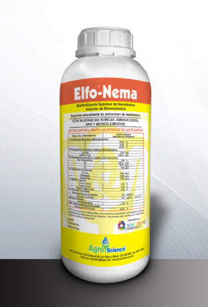 Elfo Nema