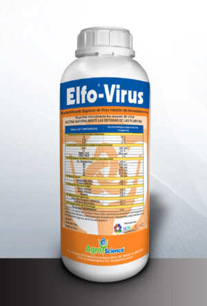 Elfo Virus