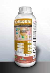 Kallpapacha