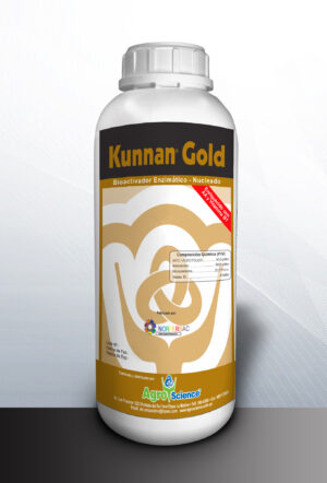 Kunnan Gold