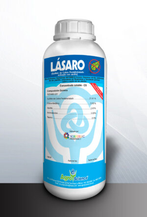 Lásaro