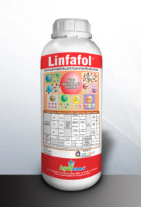 Linfafol