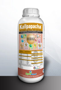 Kallpapacha