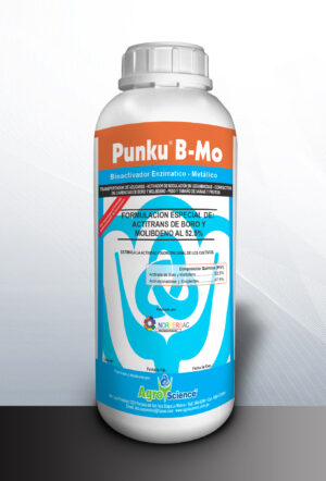 Punku B - Mo