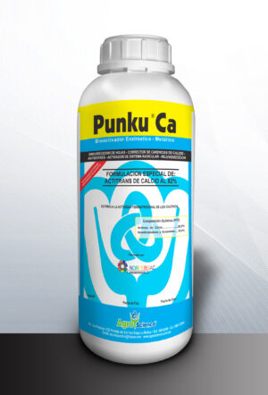 Punku Ca