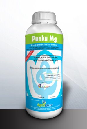 Punku Mg