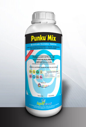 Punku Mix