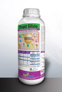 Trust Silicio