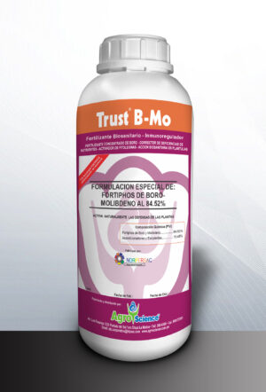 Trust B-Mo