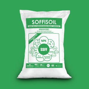 Soffisoil