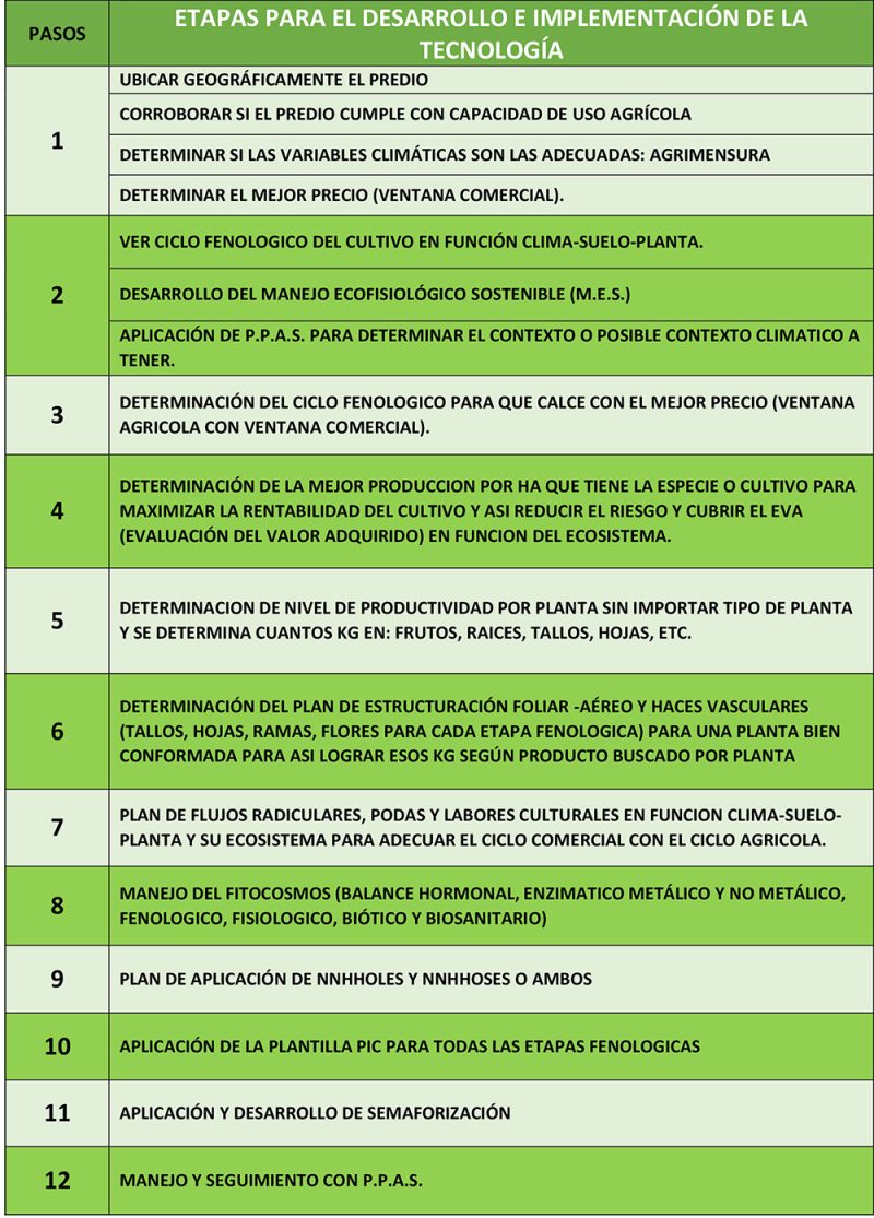 12pasos 12pasos