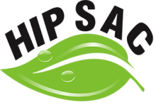 logo-hipsac