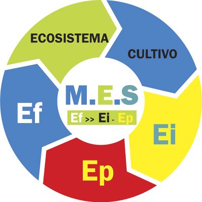 logo-mes logo-mes