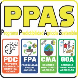 logo-ppas logo-ppas