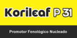 producto 11